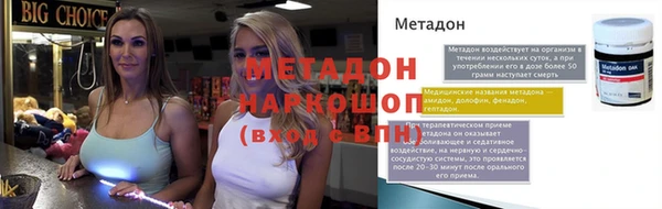 гашик Алексин