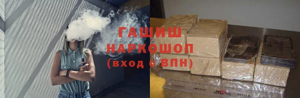гашик Алексин