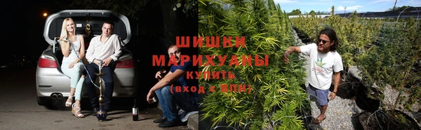 гашик Алексин