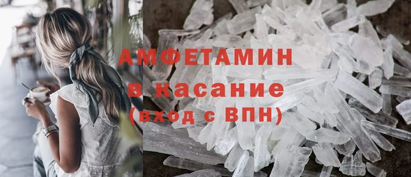 гашик Алексин