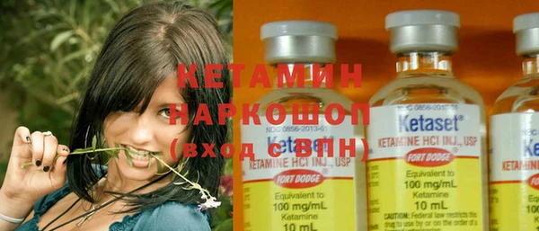 гашик Алексин