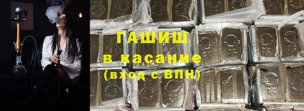 гашик Алексин