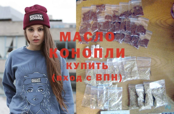 гашик Алексин